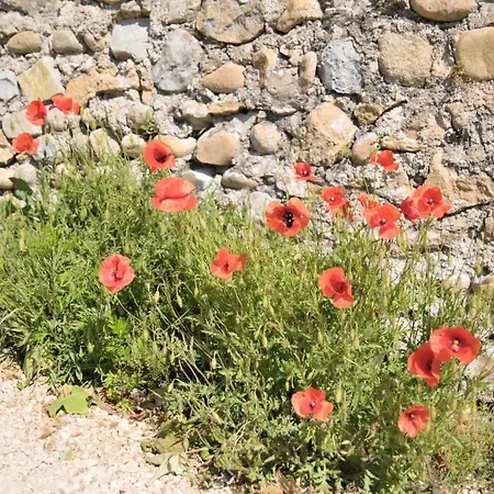 Du Domaine Des Dames